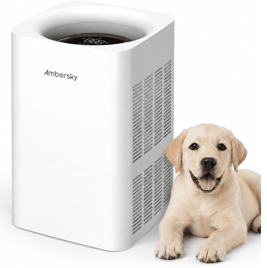 Products Ambersky Air Purifier for Home
