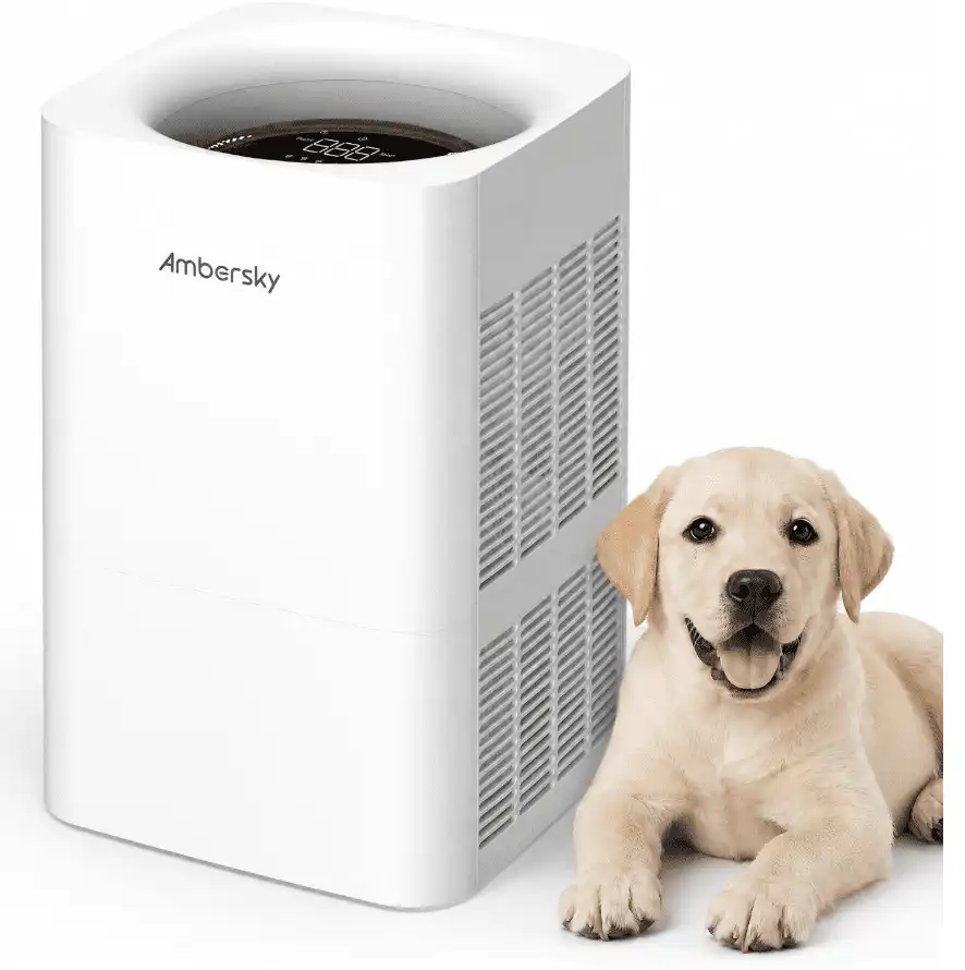Products Ambersky Air Purifier for Home