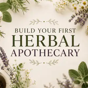 Resources build your first herbal apothecary