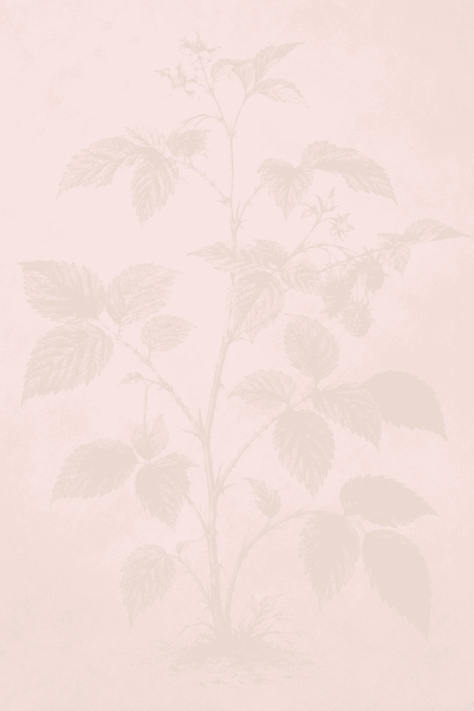 Red Raspberry Leaf During Pregnancy: What Traditional Herbalists Have Said for Generations raspberry