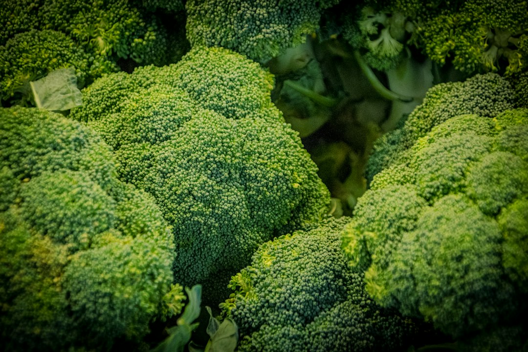 Green broccoli representing chlorophyll and compounds found in cruciferous vegetables