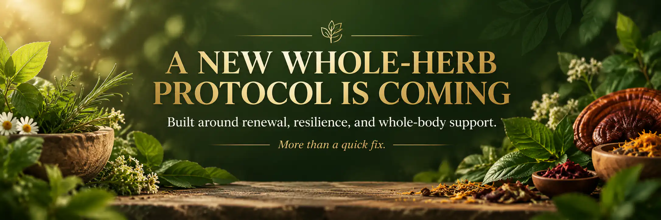 Stem Cells: One of the Body’s Most Important Systems for Renewal and Repair Lael Herbal Home Stem Cell Support Protocol teaser